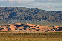 Khongor sand dunes