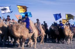 Camel Festival